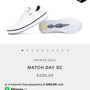 Payntr Golf Shoes - Never Worn, New!
